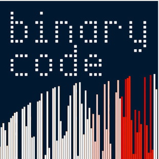 2013_企鹅最新记牌作品_二进制代码_Binary_Code_by_Rick_Lax 图1