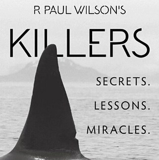 2014 大神纸牌魔术 Killers by R. Paul Wilson 2集